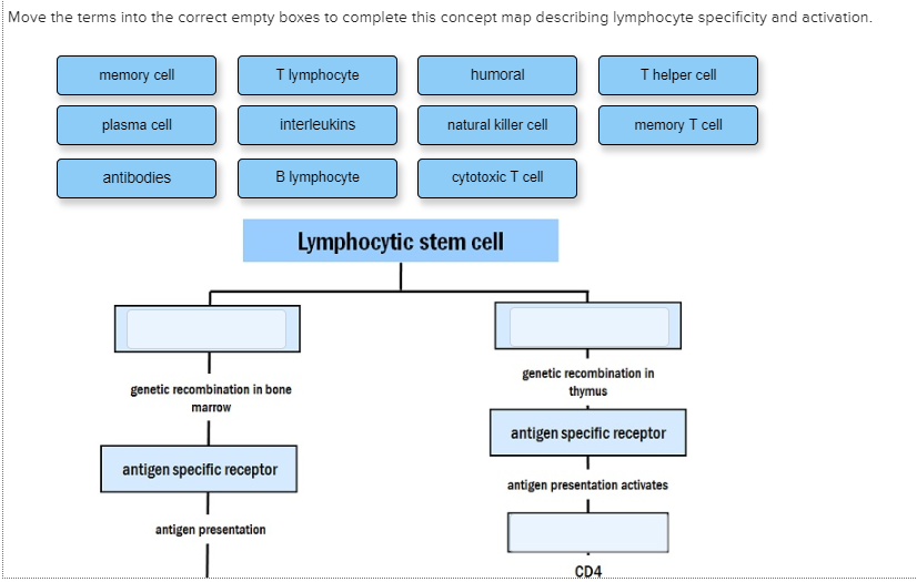 Solved Move the terms into the correct empty boxes to | Chegg.com