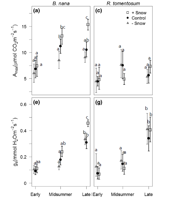 This Figure Shows The Maximum Photosynthetic Rate Chegg Com