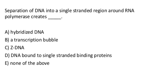 Solved Separation of DNA into a single stranded region | Chegg.com