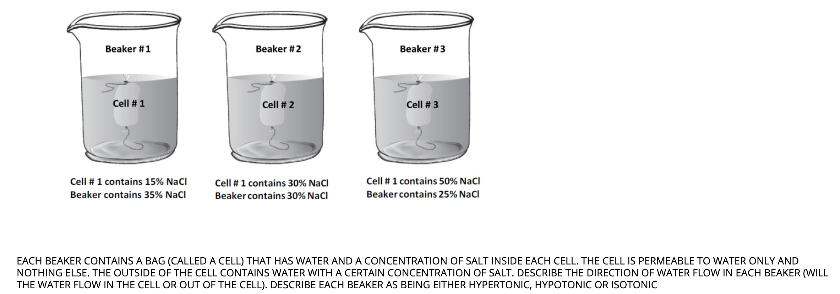 Solved Beaker #1 Beaker #2 Beaker #3 Cell #1 Cell # 2 Cell | Chegg.com