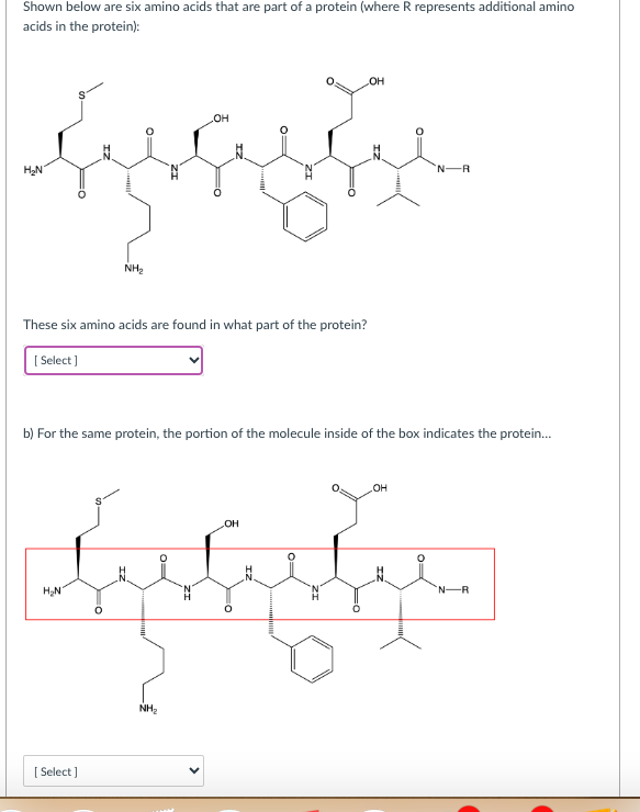 Solved Shown below are six amino acids that are part of a | Chegg.com
