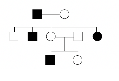 Solved Look at the family tree below and justify your | Chegg.com