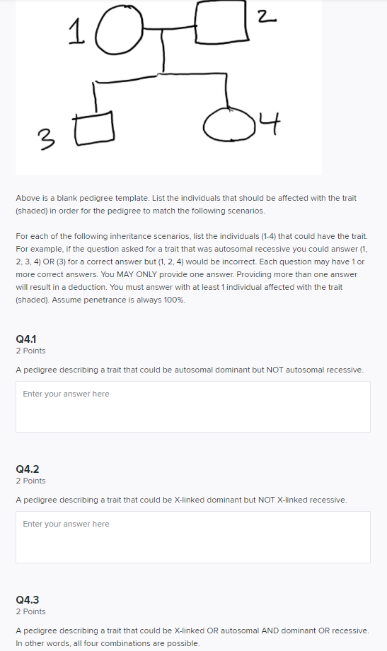Solved 2 10-0 3Ć Bu Above is a blank pedigree template. List | Chegg.com