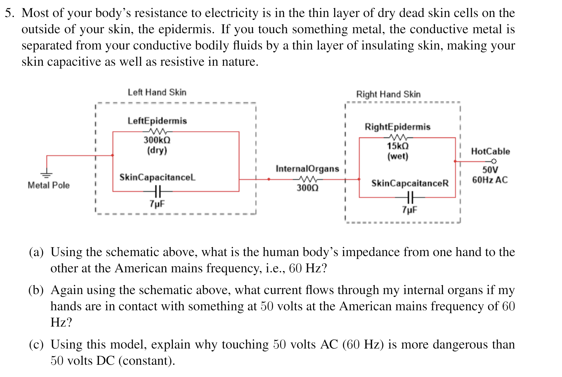 Solved Most of your body's resistance to electricity is in | Chegg.com