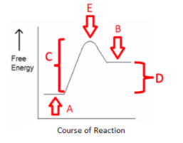 Solved For an energetically _______ process or reaction | Chegg.com