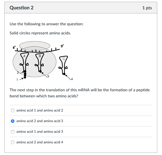 Solved Question 2 1 pts Use the following to answer the | Chegg.com