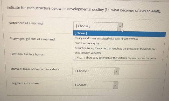 Solved Indicate For Each Structure Below Its Developmental