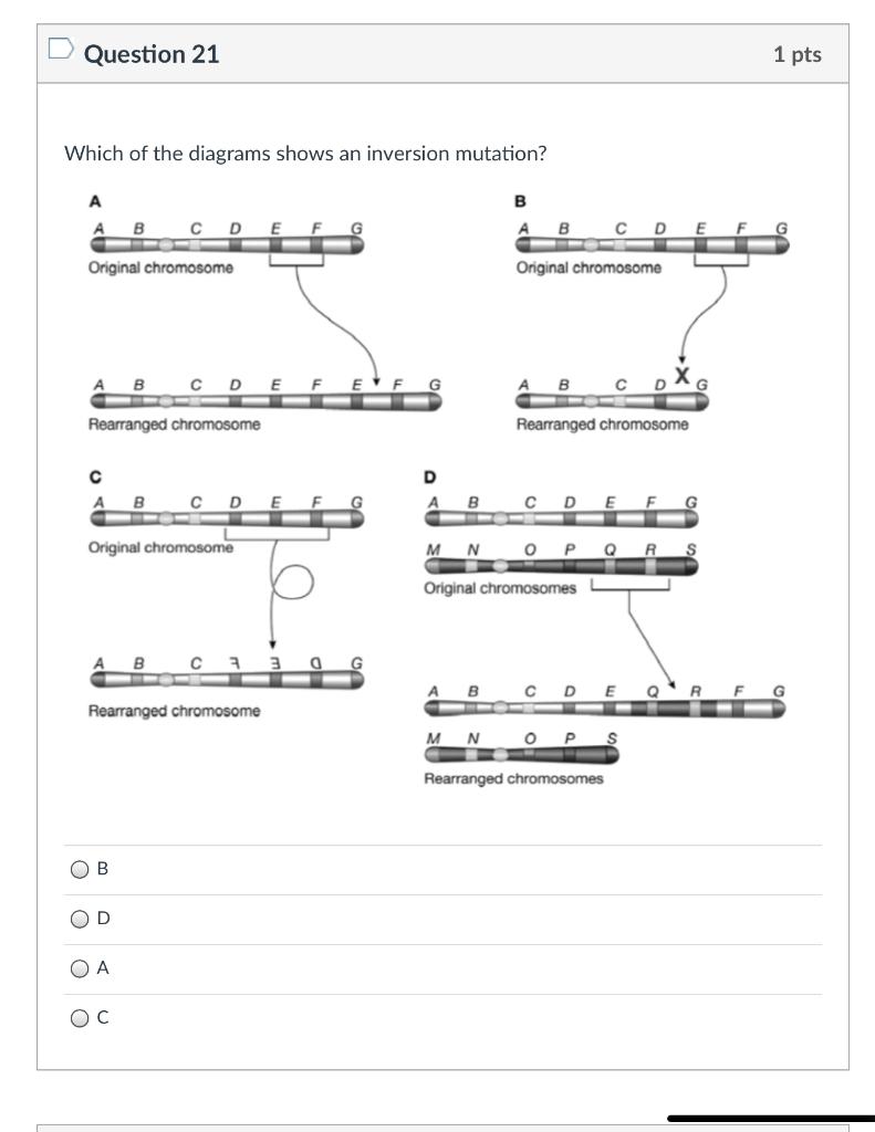 Solved Question 21 1 pts Which of the diagrams shows an | Chegg.com