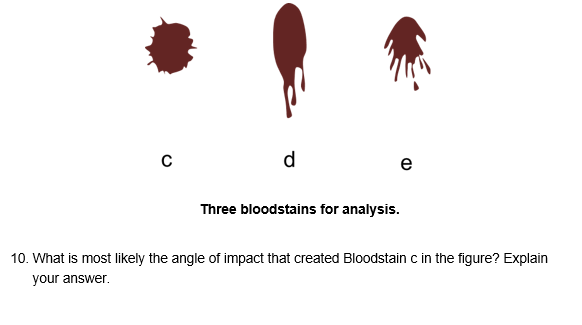 d c ? three bloodstains for analysis. 10. what is most likely the angle of impact that created bloodstain c in the figure? ex