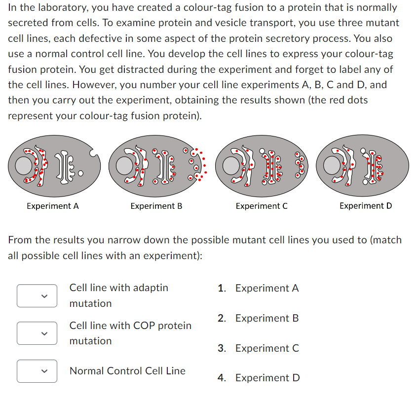 Solved In the laboratory, you have created a colourtag