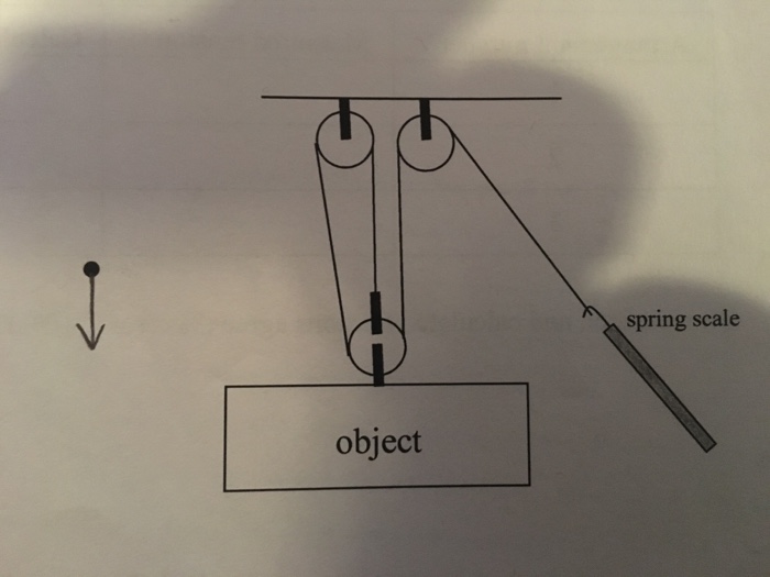 Solved Draw a free body diagram for this pulley system