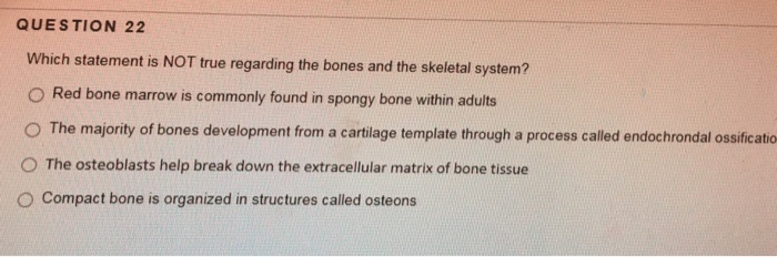 Solved Which Statement Is NOT True Regarding The Bones And Chegg