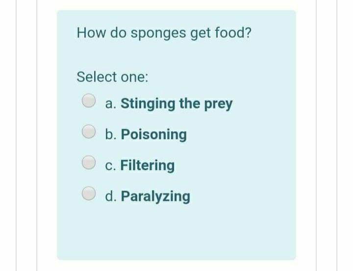 Solved How do sponges get food? Select one a. Stinging the