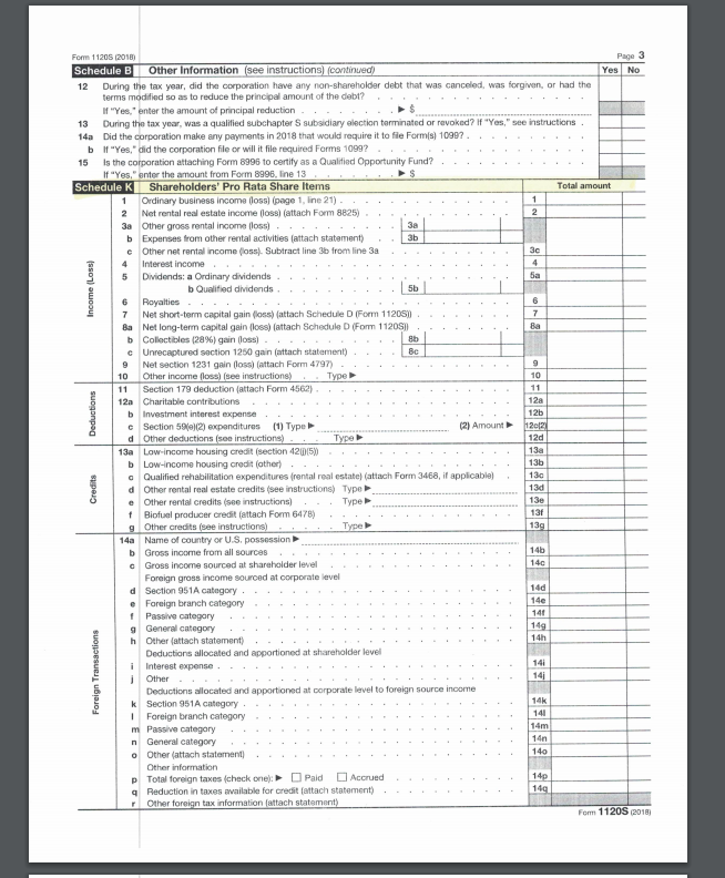 Prepare Schedules M1, K, and K1 for tax year 2018.