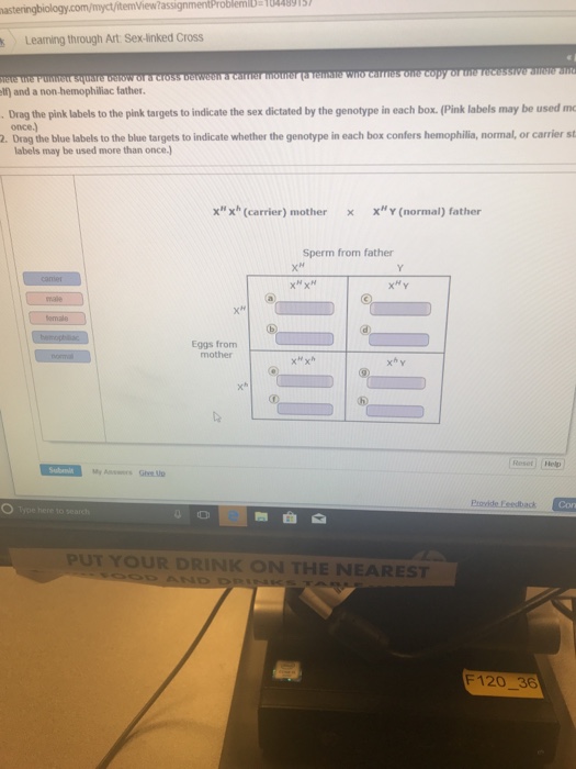 Solved Leaming Through Art Sex Linked Cross Lf And A