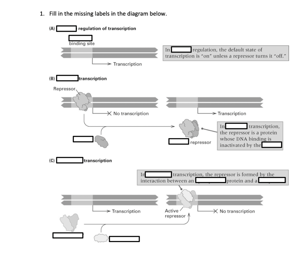 Solved 1. | Chegg.com