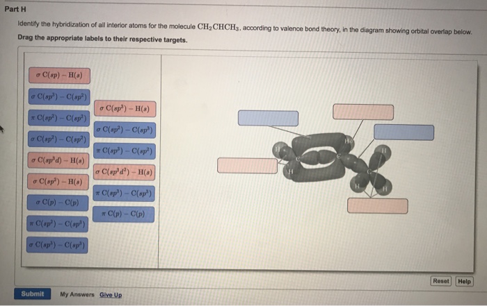 Solved Part H Identify The Hybridization Of All Interior | Chegg.com