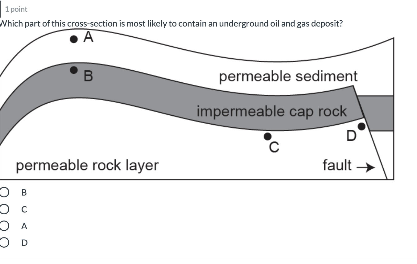 Solved 1 point Which part of this cross-section is most | Chegg.com