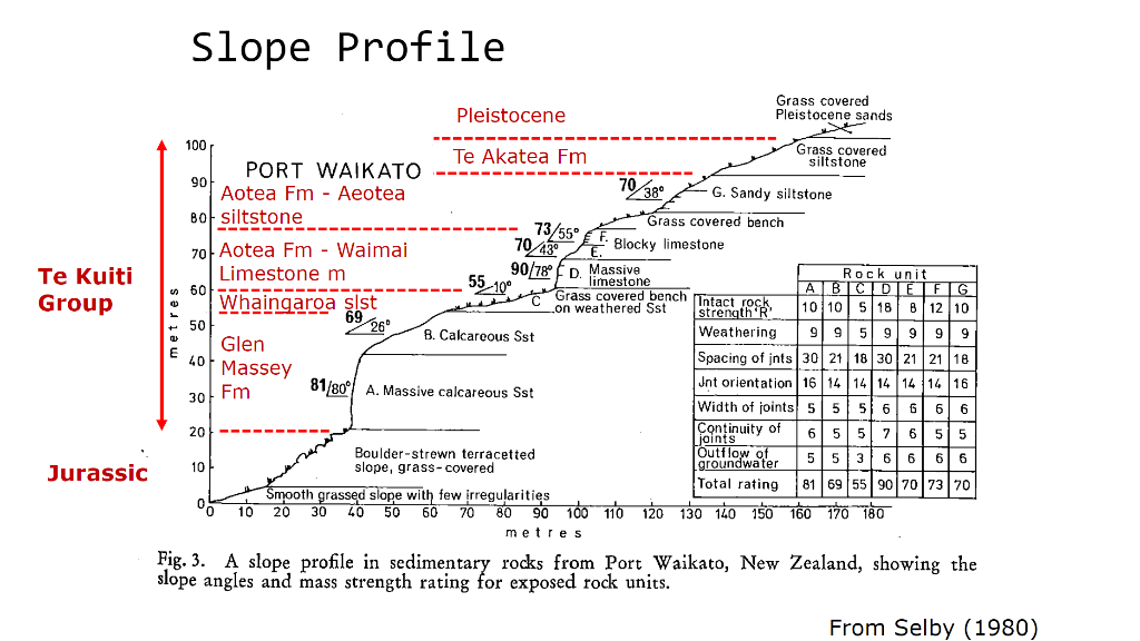 Te Kuiti
Group
Jurassic
Slope Profile
100
PORT WAIKATO
metres
Pleistocene
Te Akatea Fm
73/55°
70/43?
90/78° D.
Grass covered
