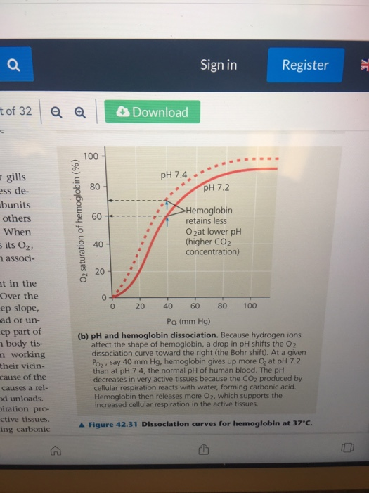 Solved Examine the hemoglobin binding curve in Figure | Chegg.com