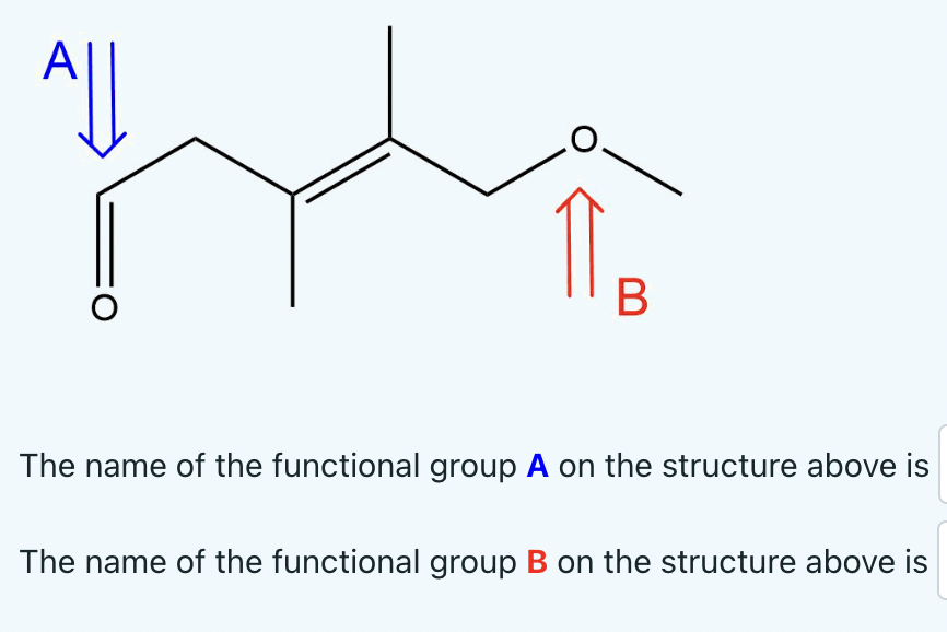 Solved The name of the functional group A on the structure | Chegg.com