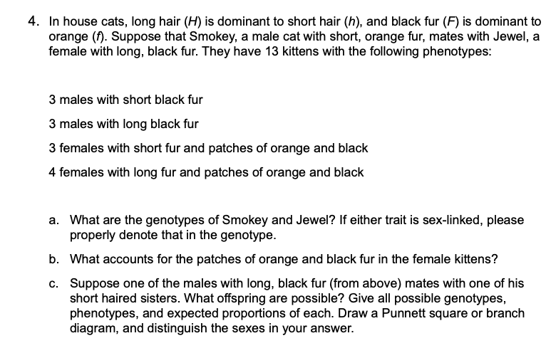 Solved In house cats, long hair (H) ﻿is dominant to short | Chegg.com