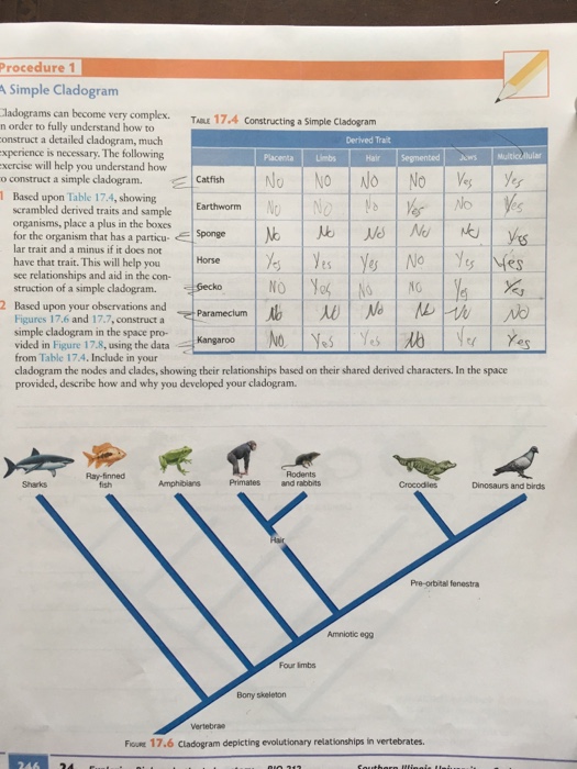 Solved Make A Cladogram With The Given Data. An Example Is | Chegg.com