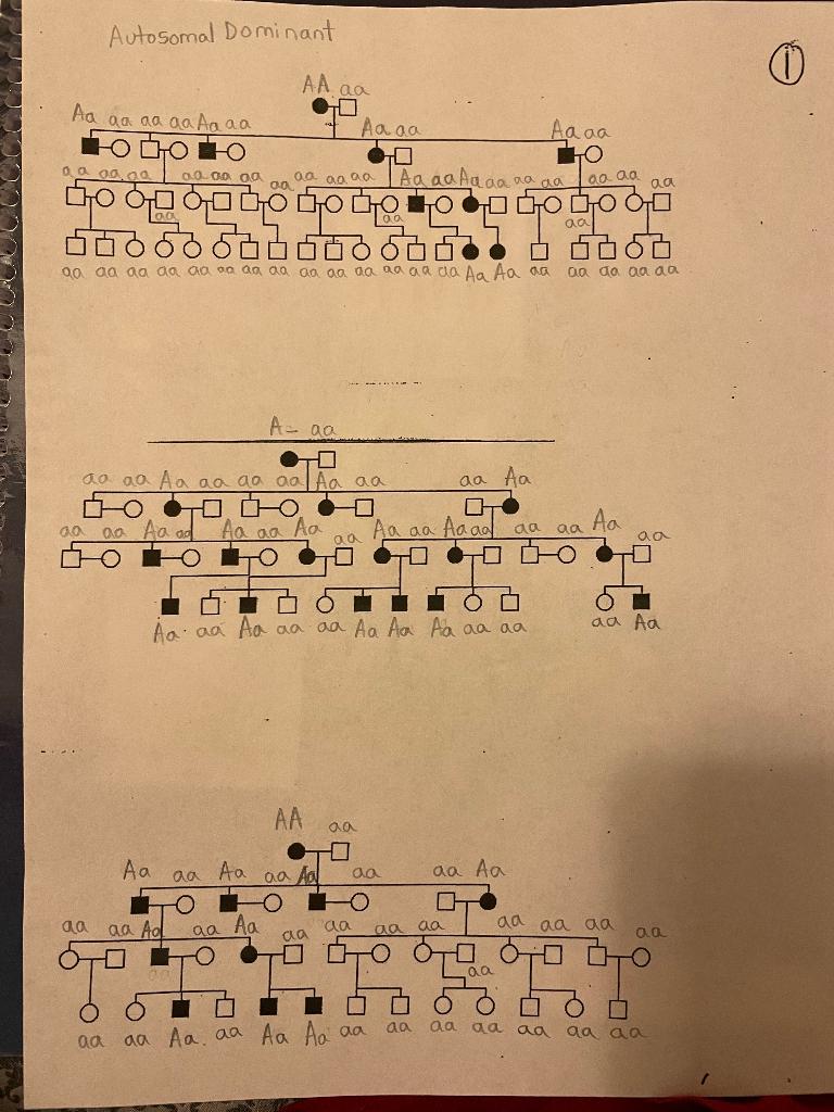 Solved If the trait is autosomal dominant, are the | Chegg.com