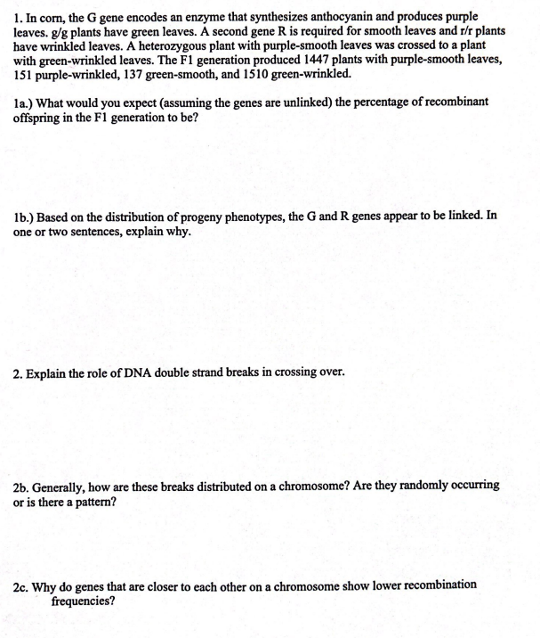 1. In corn, the \( G \) gene encodes an enzyme that synthesizes anthocyanin and produces purple leaves. \( g / g \) plants ha