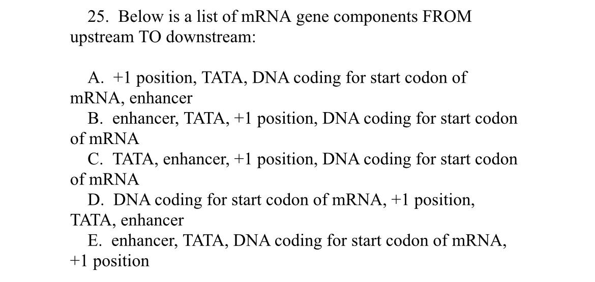 Solved 25. Below is a list of mRNA gene components FROM | Chegg.com