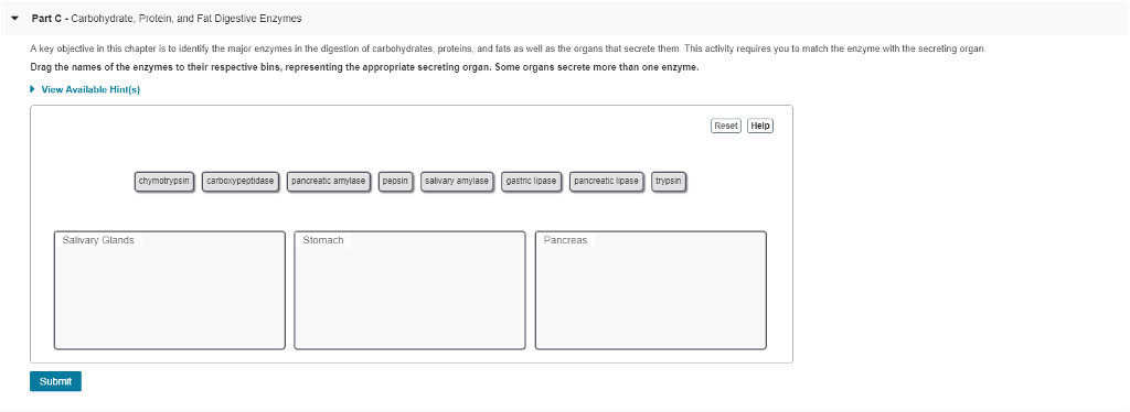 Solved Part C-Carbohydrate, Protein, and Fat Digestive | Chegg.com