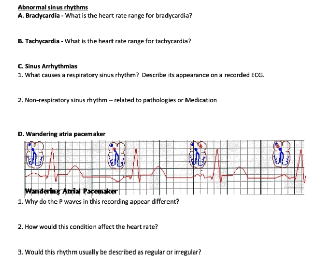 Abnormal Sinus Rhythms A Bradycardia What Is The Chegg Com