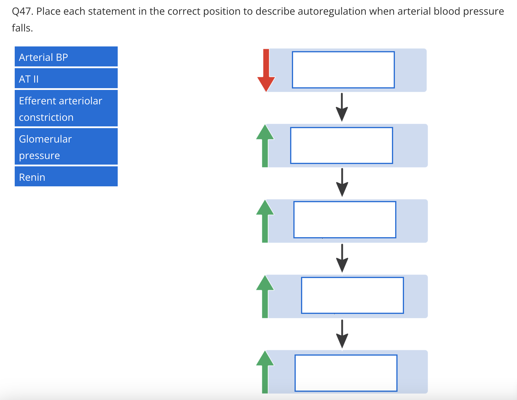 Solved Q47. Place each statement in the correct position to | Chegg.com