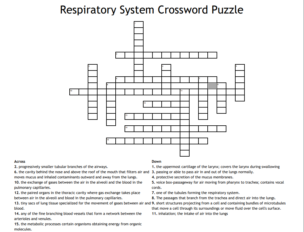 solved-respiratory-system-crossword-puzzle-across-down-2-chegg