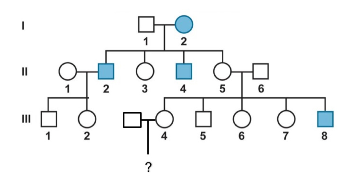 Solved consider the following pedigree showing the pattern | Chegg.com