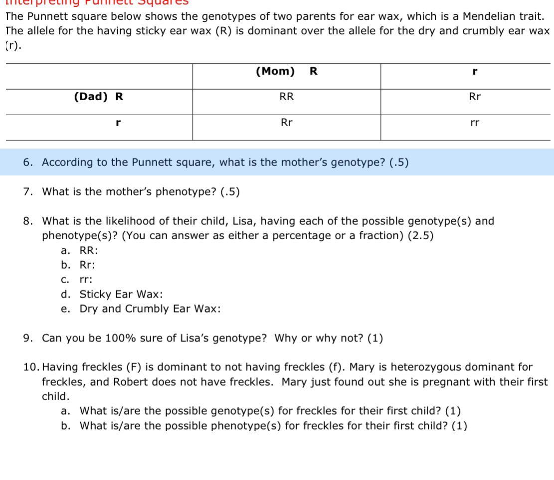 Solved The Punnett square below shows the genotypes of two | Chegg.com
