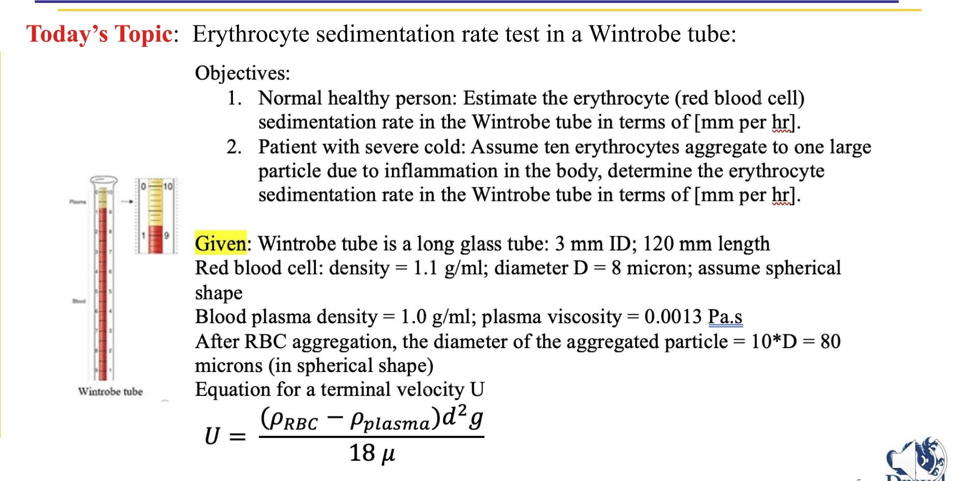 erythrocyte-sedimentation-rate-esr-what-does-this-lab-test-really