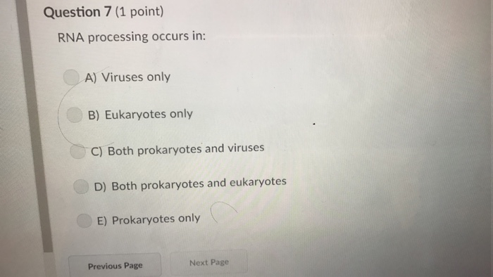 Solved Question 7 (1 point) RNA processing occurs in: A) | Chegg.com