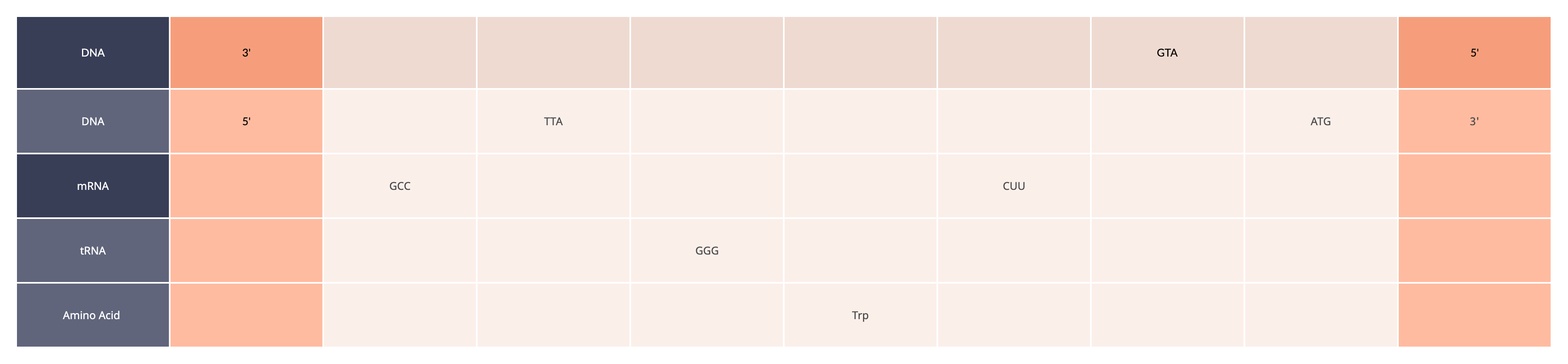 solved-the-following-table-showcases-parts-of-a-gene-chegg