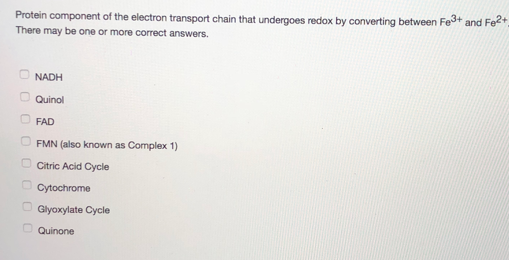 Solved Protein component of the electron transport chain | Chegg.com