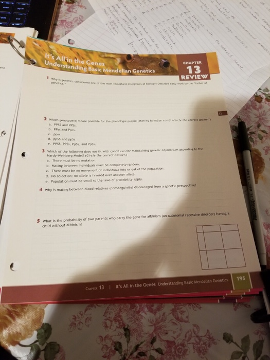 Solved It's Allin the Genes CHAPTER 13 REVIEw nd erstanding | Chegg.com