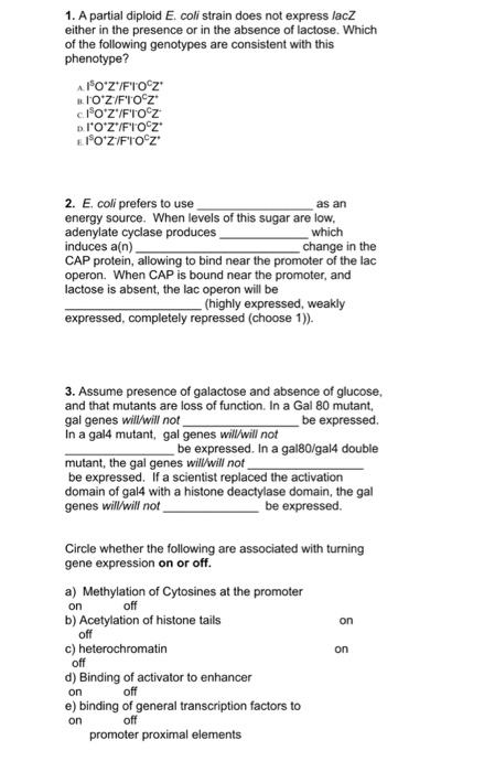 Solved 1. A partial diploid E. coli strain does not express | Chegg.com