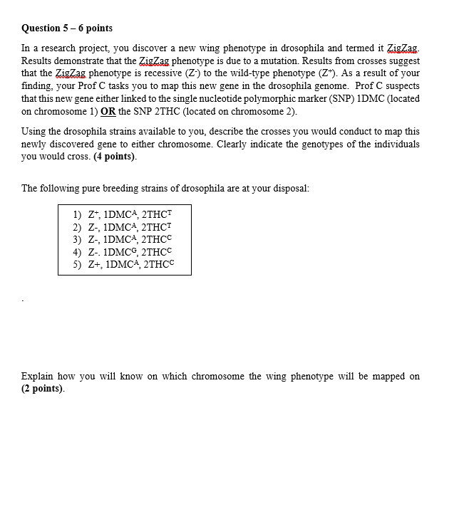 Solved Note: Z = New wing phenotype Zig Zag Z+ wild-type, Z- | Chegg.com
