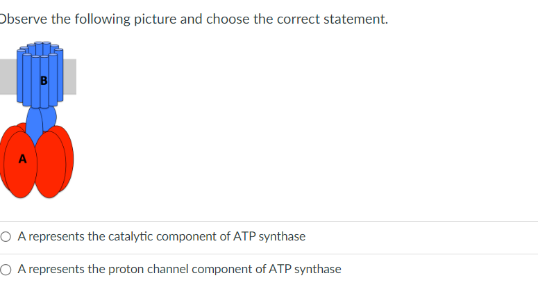 Solved give me the answer only quick | Chegg.com