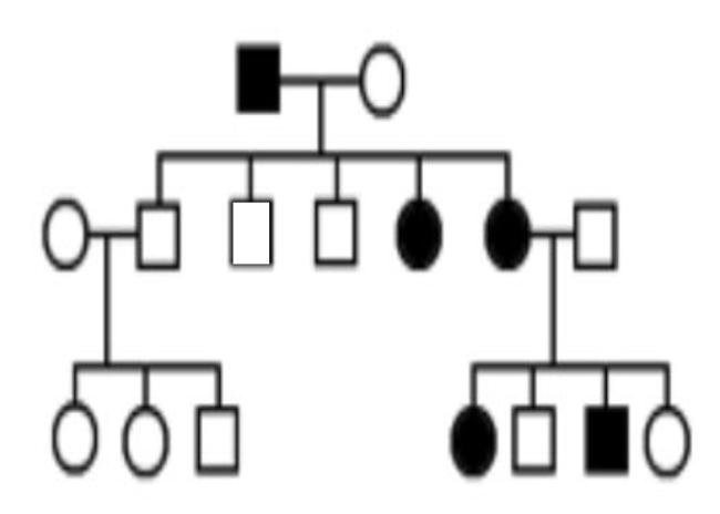 Solved 1.Pedigree of the condition of the Werewolf. | Chegg.com