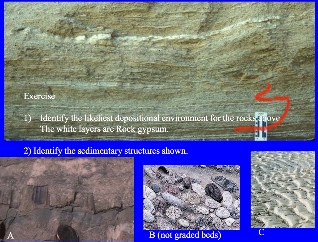Solved Exercise 1) Identify the likeliest depositional | Chegg.com