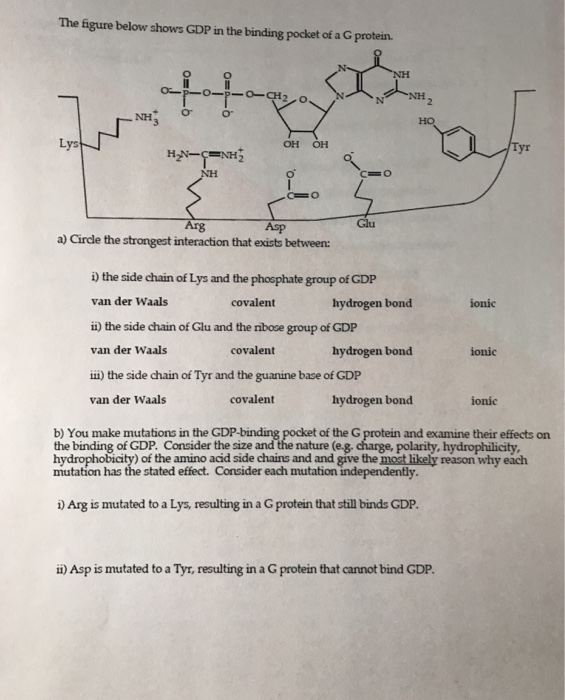 Solved The figure below shows GDP in the binding pocket of a | Chegg.com