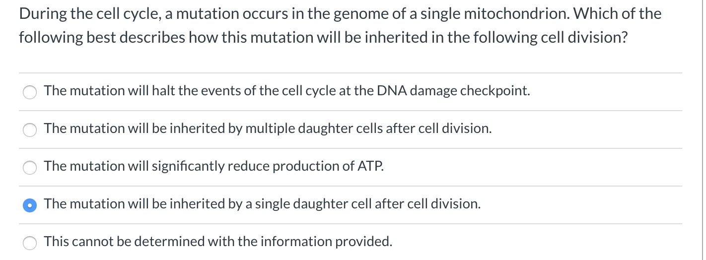 Solved During the cell cycle, a mutation occurs in the | Chegg.com