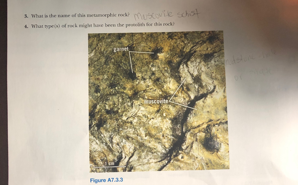 Solved D Analyze the foliated metamorphic rock sample in Fig | Chegg.com