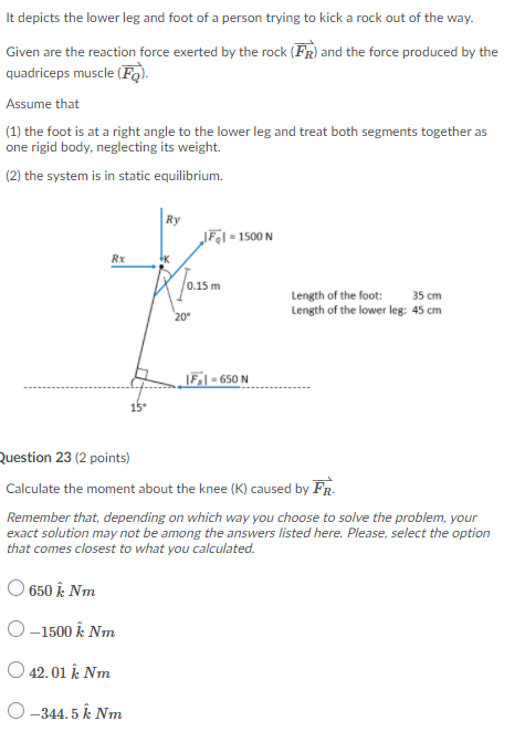 Solved It depicts the lower leg and foot of a person trying | Chegg.com